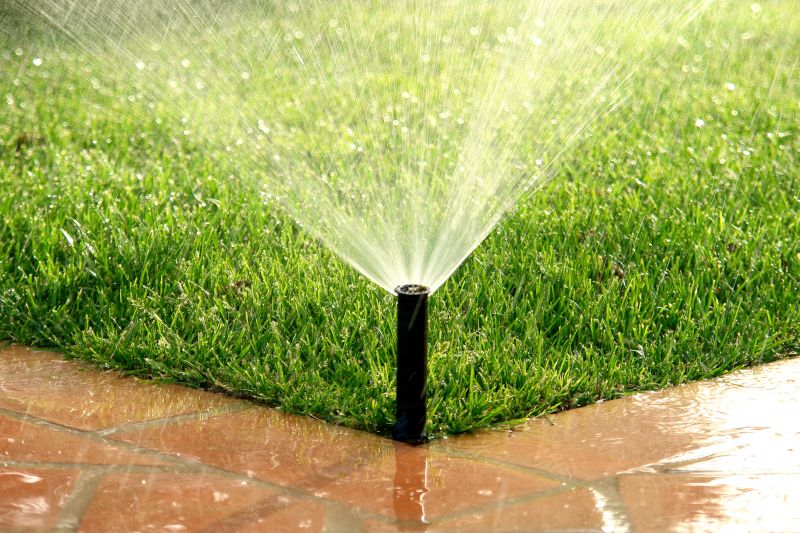 Lawn Sprinkler System Service
